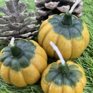 Vela Calabaza de Cera de miel